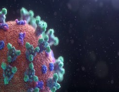 المغرب اليوم - بريطانيا ترصد نوعاً جديداً من فيروس كورونا لديه قدرة كبيرة على التحور