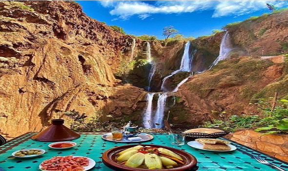 المغرب اليوم - غابة أزرو تُعد مزارسياحي داخل مدينة أزرو في إقليم إفران