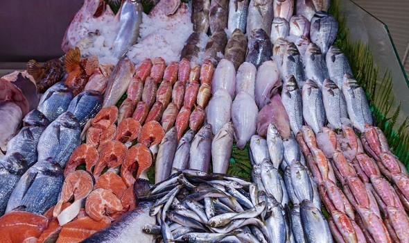 المغرب اليوم - الاتحاد الأوروبي يسحّب من الأسواق شحنة من الأسماك قادمة من المغرب