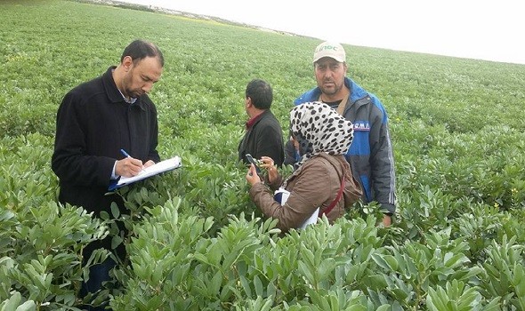 المغرب اليوم - المزارعون اللبنانيون يستعدون لجني محصول الزيتون وأزمة المحروقات تُهدّد الموسم