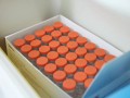 المغرب اليوم - ابتكار أول لقاح في العالم مضاد للبكتيريا القاتلة