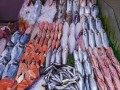 المغرب اليوم - الإفراط في تناول بعض الأسماك قد يؤدي إلى الإصابة بالزهايمر