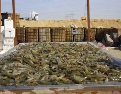 المغرب اليوم - ارتفاع أسعار الأسماك واللحوم بعدد من المدن المغربية