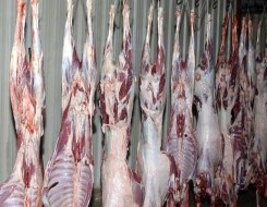 المغرب اليوم - الكشف عن فوائد تناول لحم البقر يومياً