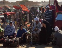المغرب اليوم - الإنجازات الفلاحية خفضت الفقر في الوسط القروي من 25 إلى 9.5 في المائة