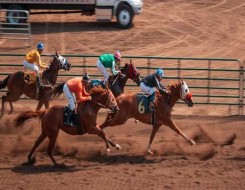 المغرب اليوم - الثلاثاء انطلاق كأس الأمير سلطان بن عبد العزيز العالمي للخيول