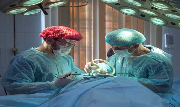 المغرب اليوم - جراحون يزرعون للمرة الثانية كلية خنزير لمريض حي