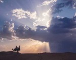 المغرب اليوم - البوليساريو في البرلمان الفرنسي لكن الحكومة تتمسك بموقفها من نزاع الصحراء1630457/314