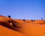 المغرب اليوم - قيادة البوليساريو تشتكي العزلة الكبيرة للأطروحة الانفصالية البائدة1634490/36