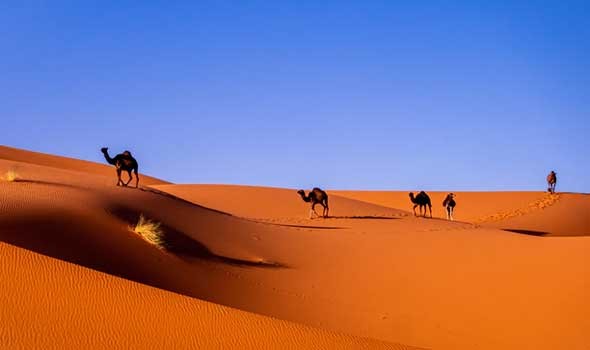 المغرب اليوم - المبعوث الأممي دي ميستورا يكثف لقاءات تشاورية حول الصحراء المغربية
