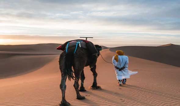 المغرب اليوم - إطلاق منصة جديدة متخصصة في عروض السفر في المغرب