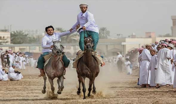 المغرب اليوم - تتويج 24 حصانا من أجود الخيول المغربية في نهاية الملتقى الوطني للخيول العربية البربرية