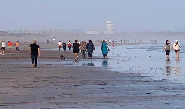 المغرب اليوم - حملة “بحر بلا بلاستيك” تصل إلي  مدينة الداخلة