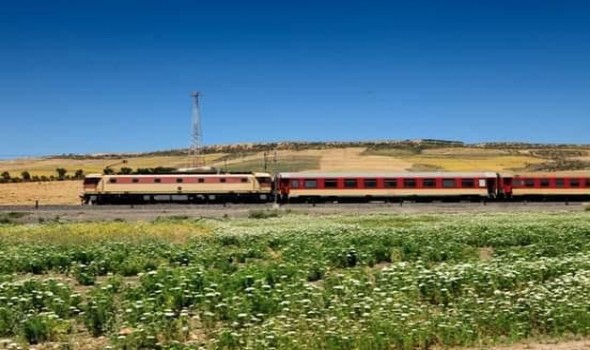 المغرب اليوم - قاصران يُعَرضان ركاب وطاقم قِطار للخطر بـ 