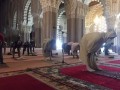 المغرب اليوم - مساجد مراكش تفتح أبوابها في وجه المصلين لأداء صلاة العشاء