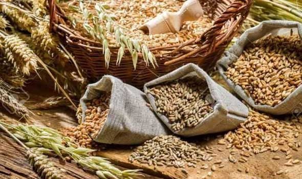 المغرب اليوم - المغرب يستورد مليون طن من القمح الفرنسي