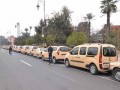 المغرب اليوم - مهنيو سيارات الأجرة يكشفون حقيقة الزيادة في تسعيرة التنقل