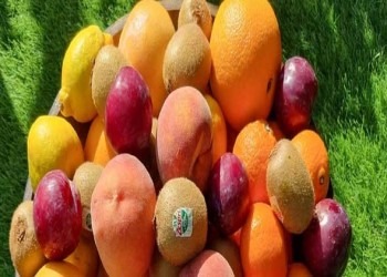 المغرب اليوم - أنواع من الفواكه تحتوي على نسبة عالية من البروتين