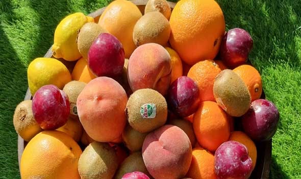 المغرب اليوم - قائمة تضم 14 فاكهة توفر أعلى وأقل كمية من السكر