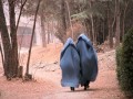 المغرب اليوم - طالبان تحذر النساء من السفر في الرحلات الطويلة بمفردهم