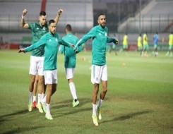 المغرب اليوم - الجزائر يكتسح منتخب الرأس الأخضر بخماسية قبل مواجهة مصر