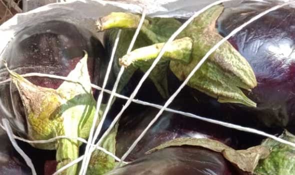 المغرب اليوم - أبرز فوائد تناول الباذنجان بانتظام للجسم