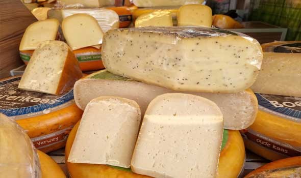 المغرب اليوم - دراسة علمية ترد هل الجبنة تحمي الدماغ من الخرف