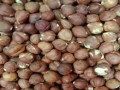 المغرب اليوم - تناول المكسرات بانتظام يقلل خطر السمنة ويعزز الصحة