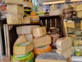 المغرب اليوم - دراسة علمية تكشف دور منتجات الألبان في الوقاية من السرطان