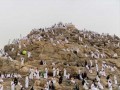 المغرب اليوم - الحجاج يؤدون الركن الأعظم من مناسك الحج بالوقوف على جبل الرحمة في يوم عرفة