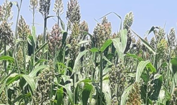 Sorry! Image not available at this time