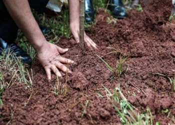 المغرب اليوم - تأخر الأمطار يعرقل انطلاقة الموسم الفلاحي بالمغرب