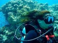 المغرب اليوم - العقبة وجهة مثالية لعشاق الغطس واستكشاف أعماق البحر الأحمر