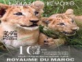 المغرب اليوم - بريد المغرب يحتفل بذكرى تأسيس حديقة الحيوانات في الرباط بإصدار طابع بريدي