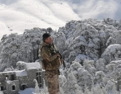 المغرب اليوم - الجيش اللبناني يوقف 45 شخصا من جنسيات مختلفة لتورطهم في جرائم متعددة