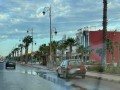 المغرب اليوم - الفضاءات الخضراء في مدينة سطات المغربية تعاني الإهمال