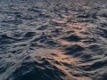 المغرب اليوم - المجر تغرق بارجتين في نهر الدانوب لرفع منسوب المياه وحماية محطة باكس النووية من موجة الحر