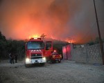 المغرب اليوم - اندلاع حرائق كبيرة في منطقة وادي القلط شرقي الضفة الغربية مما أدى إلى هروع قوات الإنقاذ
