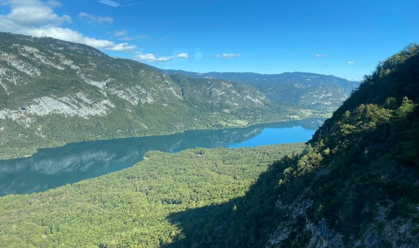 المغرب اليوم - متنزهون يعثرون على حطام طائرة وجثتين في أحراش غرب ألمانيا