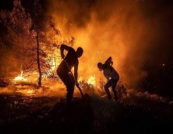المغرب اليوم - تطويق حريق غابة مغراوة في إقليم تازة بنسبة 65 %