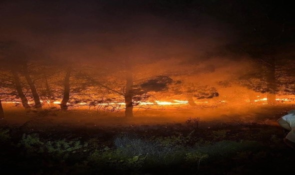 المغرب اليوم - حرائق الغابات تشعل الجدل على منصات التواصل الاجتماعي في سوريا وتركيا
