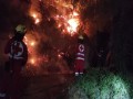 المغرب اليوم - اليونان تكافح حرائق الغابات وتخلي قرى في أنحاء البلاد