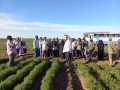 المغرب اليوم - وزير الزراعة والري السوداني يؤكد أن بلاده تتعافى ولن تجوع في ظل مزارعي القضارف