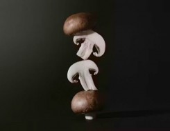 المغرب اليوم - 8 فوائد صحية للمشروم لتعزيز المناعة وصحة القلب