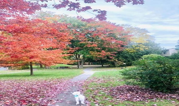 المغرب اليوم - لماذا يثير الفن العظيم أو الموسيقى قشعريرة لدى بعضنا